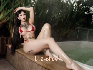Lizcrost