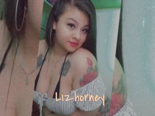 Lizhorney