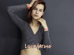 Lucindarose