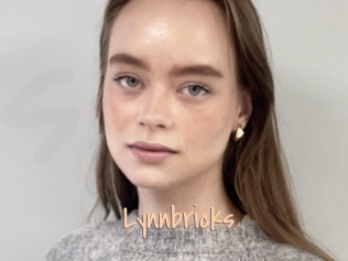 Lynnbricks