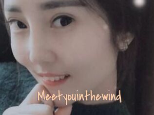 Meetyouinthewind
