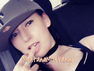 MontanaMustange