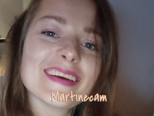Martinecam