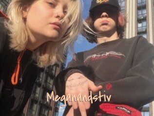 Meganandstiv
