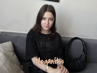 Meganflos