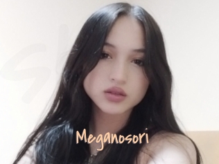 Meganosori
