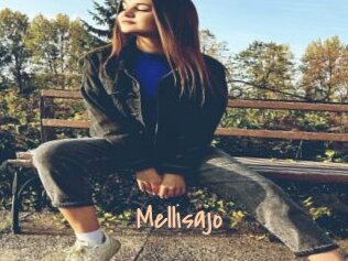 Mellisajo