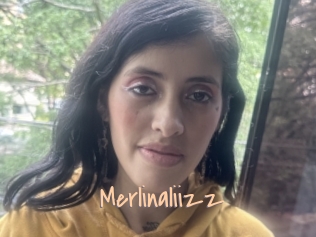 Merlinaliizz