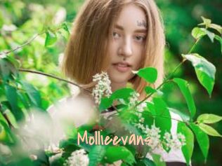 Mollieevans