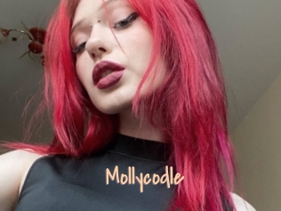 Mollycodle