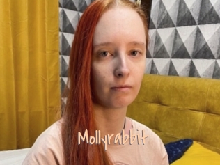 Mollyrabbit