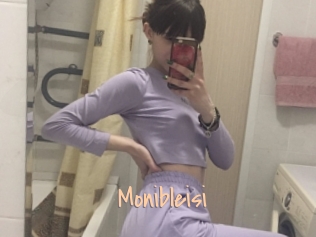 Monibleisi