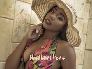 NoaHamiltons