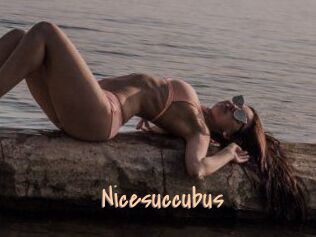 Nicesuccubus