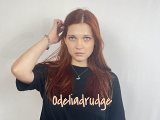 Odeliadrudge