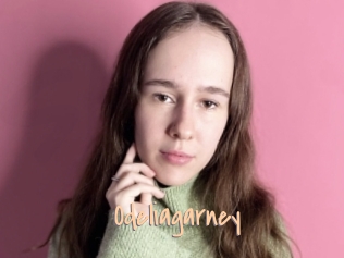 Odeliagarney