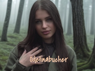 Odelinabucher