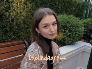 Odelindagrass