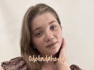 Odelindahedge