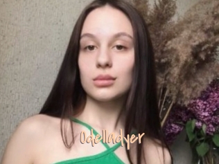 Odelladyer