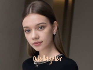 Odellagaler