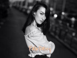 PaleDaisy
