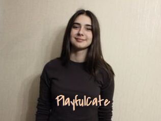 PlayfulCate