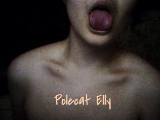 Polecat_Elly