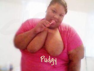Pudgy
