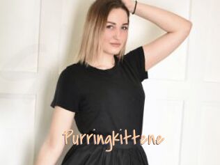 Purringkittene Salopes de 18 ans