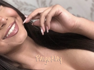 Paigeklay