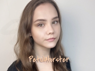 Petulaforster