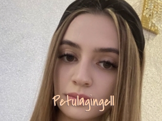 Petulagingell