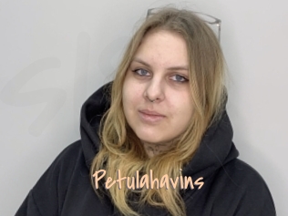Petulahavins
