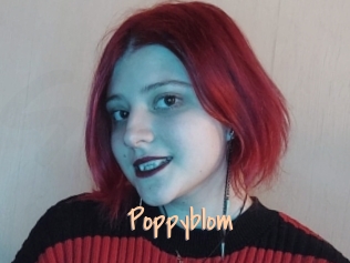 Poppyblom
