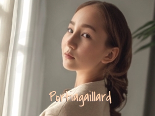 Portiagaillard