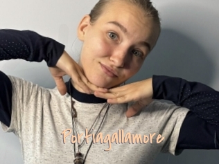 Portiagallamore