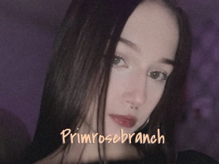 Primrosebranch