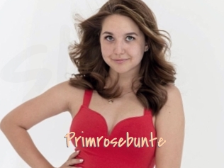 Primrosebunte