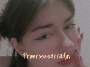 Primrosecarradin