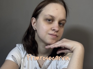 Primrosecarvin
