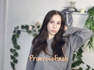primrosefinch Salopes de 18 ans