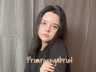 Primrosegabriel