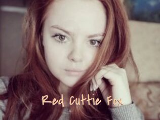 Red_Cuttie_Fox