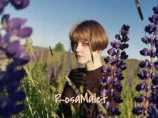 RosaMalet