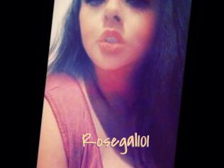 Rosegal101