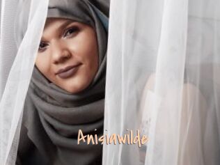 Anisiawilde