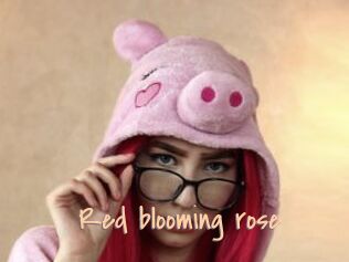 Red_blooming_rose