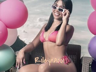 Rileynacci