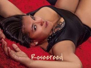 Roseereed